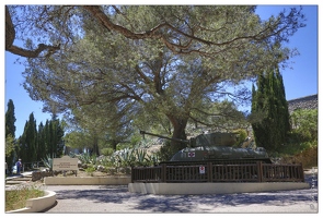20140517-28 0761-Memorial du debarquement de Provence Mont Faron
