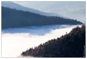 20111111-05 8173-Vosges au dessus des nuages