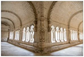 20160123-12 6733-Arles Abbaye de Montmajour le cloitre