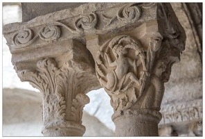 20160123-19 6742-Arles Abbaye de Montmajour le cloitre