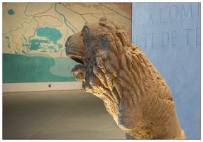 20160122-6722-Musee Arles Antique Lion de l'Arcoule