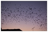 20091012-Ciel_et_Freux-1927