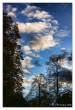20091025-Ciel-2133