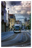 20091025-Nancy-2022