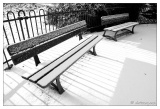 Neige au Parc Sainte Marie (30/01/10)