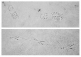 20100130215054-0bad7d1e.jpg