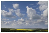 20100516-Campagne_lorraine-2563.jpg