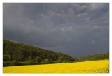 Autour de Liouville (16/05/09)