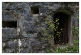 20100516-fort_de_liouville-2446.jpg
