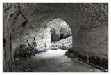 20100516-fort_de_liouville-2546.jpg