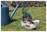 20070914-ste_croix_aux_mines_chaussures.jpg