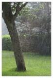 20080610-pluie-9694.jpg