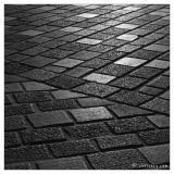 20080908-Nancy_Place_Stan-4690.jpg