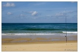 20080930-Capbreton-6773.jpg