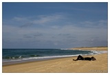20080930-Capbreton-6780.jpg