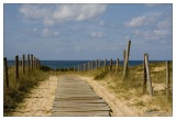 20080930-Hossegor-6801.jpg