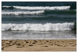 20080930-Hossegor-6891.jpg