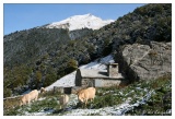 20081004-descente_Col_du_Portalet-7471.jpg