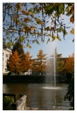 20081018-Nancy_Jardin_Eau-8360.jpg