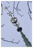 20090314-Sortie_Colli_Vieille_Ville-0943.jpg