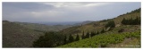 20100611-Route_de_la_Madeloque_Le_vignoble_Banyuls_pano-3614.jpg