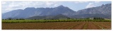 20100612-Les_Corbieres_Queribus__pano-3634.jpg