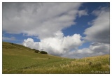 20100828-7462-Rothenbach_.jpg