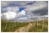 20100828-7465-Rothenbach_.jpg