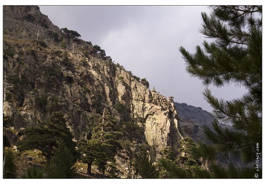 20120910-035 6145-Corse Restonica