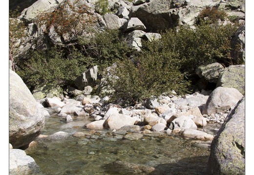 20120910-040 6165-Corse Restonica