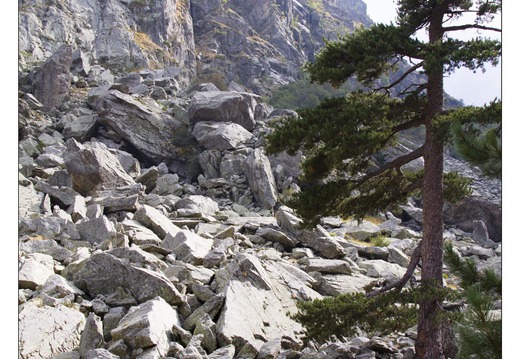 20120910-046 6176-Corse Restonica