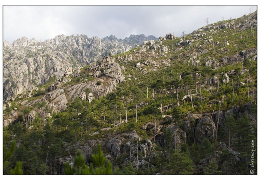 20120910-054 6192-Corse Restonica