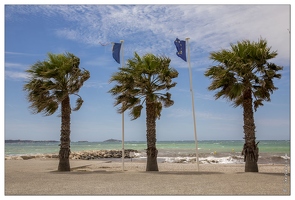 20140512-04 0115-Six fours les plages Vent dans les palmiers