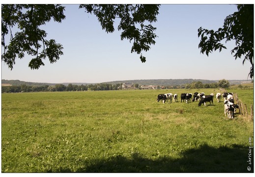 20070805-02 9909-sur la route de montbras w