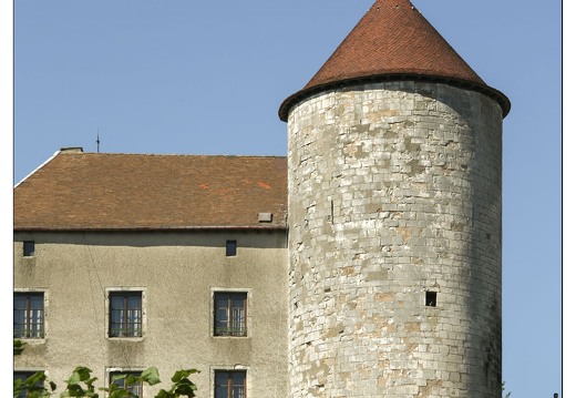 20070805-39 10297-Gondrecourt le chateau w