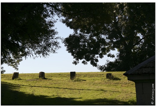 20070805-49 10388-Mandres en barrois w