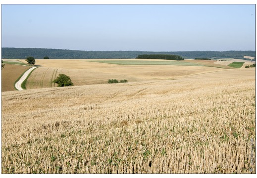 20070805-71 10576-Gombervaux w