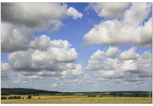 20070818-10 1221-campagne meusienne entre saulx et Domremy