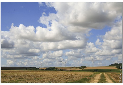 20070818-11 1226-campagne meusienne entre saulx et Domremy