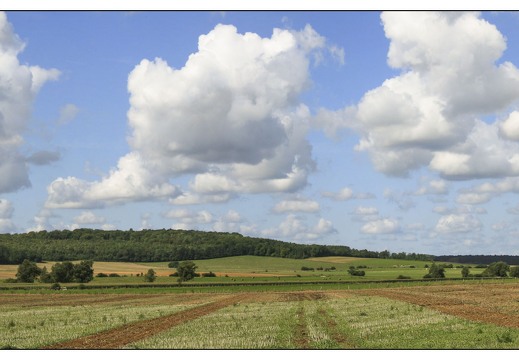 20070818-12 1242-campagne meusienne entre saulx et Domremy  pano
