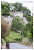 20090612-11 2910-Chinon