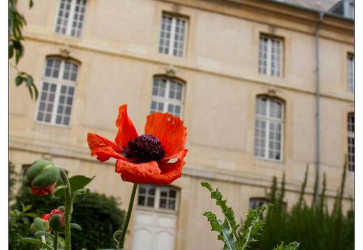 20100919-01 8049-Bibliotheque Nancy