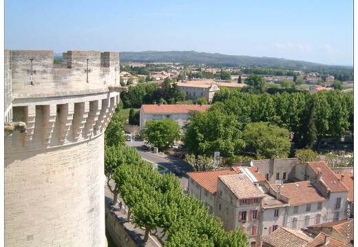 20020512-0098-Tarascon