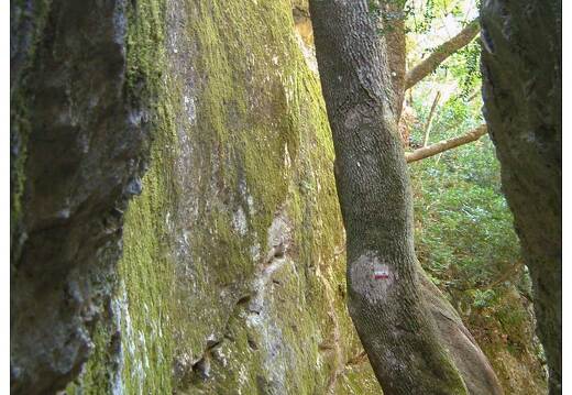 20020813-0070-gorges-du-regalon