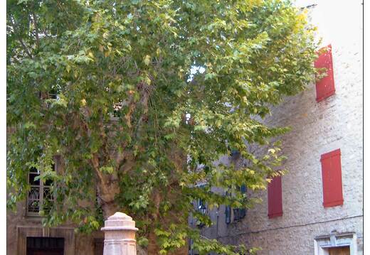 20020815-0167-Manosque Place des observantins