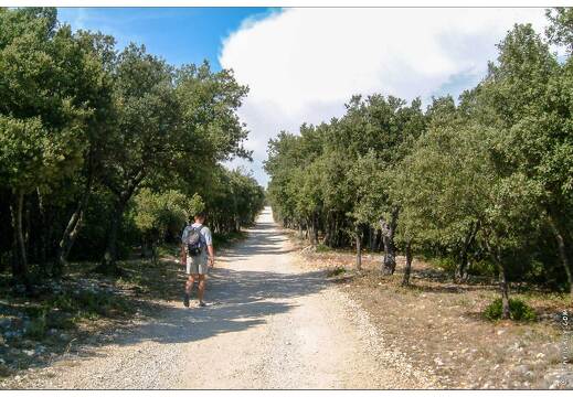 20020817-0185-ND de Baudinard