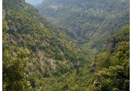 20020824-0619-Gorges de la Nesque