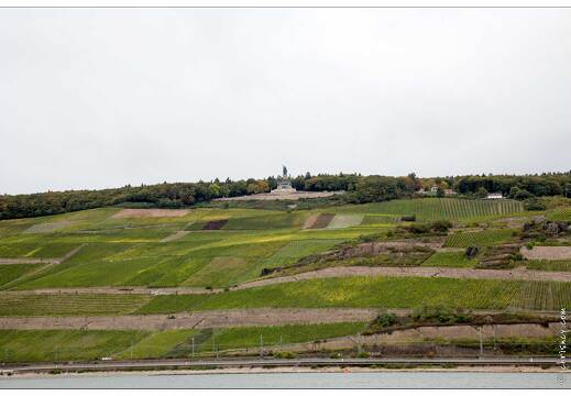 20151007-078 3783-Vallee du Rhin Bingen am Rhein Vue sur le Niederwalddenkmal