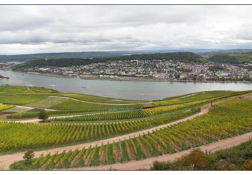 20151007-084 3821-Vallee du Rhin Rudesheim Vue sur Bingen am Rhein pano 0000
