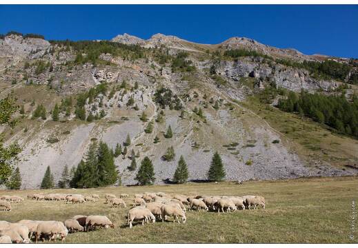 20160930-51 3511-Vallon du Melezet
